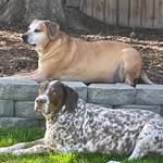 Peggy Needham - @pblizeneedham - Instagram