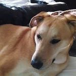 Peggy McMahon Newcomb - @mcmahonnewcomb - Instagram