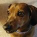 Peggy Newman - Facebook