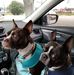 Peggy Newman - Facebook