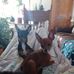 Peggy Nicholas - Facebook