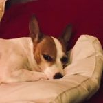 Peggy O'Donnell - @podod1 - Instagram