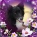 Peggy O'donnell - Facebook