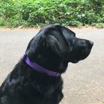 Peggy O'Donnell - @peggy.odonnell - Instagram