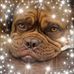 Peggy Ogle - Facebook