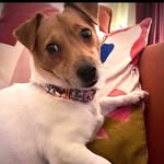 Peggy Olsen - @ms_peggy_olsen - Instagram
