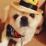 Peggy Olsen - @peggyolsen53 - Instagram