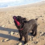 Peggy O'Neill - @peggy.oneill.7739 - Instagram