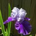 Peggy Otto - Facebook