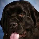 Peggy Pack - @packpeggy - Instagram
