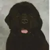 Peggy Pack - @peggy.pack - TikTok
