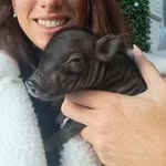 Paige 🐷 - @peggy.paige06 - Instagram