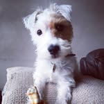 Peggy Parson Russell - @peggyparsonrussell - Instagram