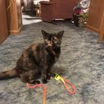Peggy Parsons Grady - @peggyparsonsgrady - Instagram
