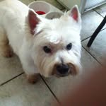 Peggy Pate - @pate_peggy - Instagram