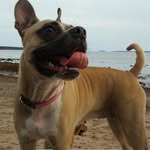 Peggy Pate - @peggy.pate.5836 - Instagram