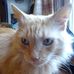 Peggy Pate - Facebook