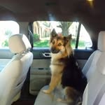 Peggy Pate Vorse - @vorsepeggy - Instagram