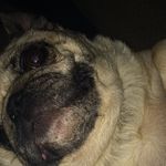 Peggy Patterson - @peggypatterson6 - Instagram