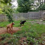 Peggy Patterson - @peggy.patterson.756 - Instagram