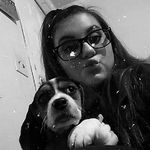 🐶Peggy and pepper🐶 - @peggyandpepper1234 - Instagram