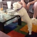 Peggy Pepper - @pepper.peggy - Instagram