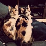 Peggy&Pepper - @peggy_and_pepper - Instagram