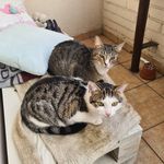Pepper & Peggy - @peggy_pepper66 - Instagram