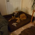 Peggy Perrin - @peggy.perrin.16 - Instagram