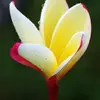 peggycpeterman31534 - @peggycpeterman31534 - TikTok