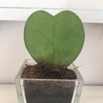 Nel Ly - @peggy.petit63 - Instagram
