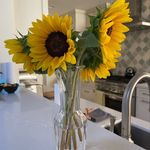 Peggy Petitfils - @peggy_petitfils - Instagram