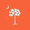 Peggy Phifer Vann - @peggy.phifer.vann - TikTok