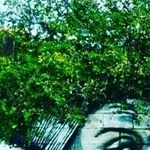 Pierre Peggy - @pierrepeggy453 - Instagram