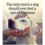Peggy Piper Schenk - @peggyschenk - Instagram