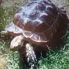 peggypiper581 - @peggypiper581 - TikTok