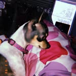 Piper Pendarvis - @piper_peggy_pendarvis - Instagram