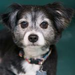 Peggy Pitzer - @pitzerpeggy - Instagram