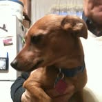 Peggy Plaster - Facebook