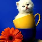 Peggy Pleasant - Facebook
