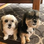 Margaret Plumb - Facebook