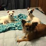 Peggy Plumb - @coloradolady1940 - Instagram