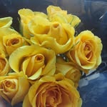 Peggy Pomeroy - @pomeroypeggy8 - Instagram