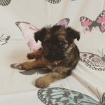 Peggy - @peggys.post - Instagram