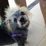Peggy Post - @postp48 - Instagram