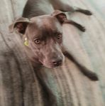 Peggy Postell - Facebook