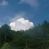 Peggy Worstell - @peggy.worstell - TikTok