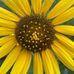 Peggy Prather - Facebook