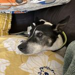 Peggy Prather - @mcgeehan - Instagram