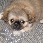 Peggy Probst - Facebook